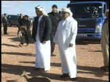 اطلاق 500 غزال بصحراء النعامة بمبادرة دولة الامارات المتحدة للمساهمة في التوازن الايكولوجي
