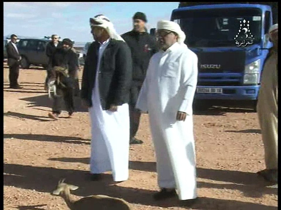 اطلاق 500 غزال بصحراء النعامة بمبادرة دولة الامارات المتحدة للمساهمة في التوازن الايكولوجي