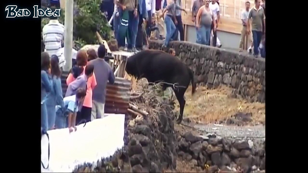 Funny videos Dont Mess with The Bull People fails bull fighting Stupid people doing stupid thing