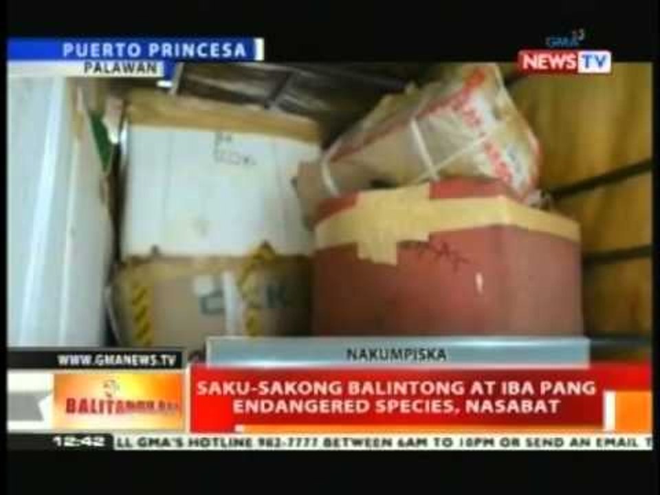 BT: Saku-sakong balintong at iba pang endangered species, nasabat