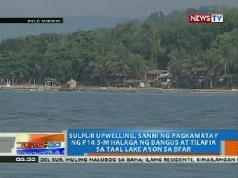 Sulfur upwelling, sanhi ng pagkamatay ng bangus at tilapia sa Taal Lake ayon sa BFAR