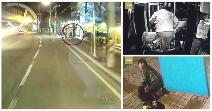 Motorista de autocarro intercepta ladrão que minutos antes tinha roubado uma idosa