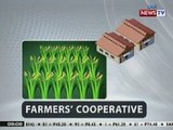 NTG: Mga farmers cooperative, ginamit umano bilang pekeng bidder ng mga rice smuggler