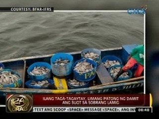 24 Oras: Halos 120 tonelada ng isda sa Taal lake, namatay dahil sa epekto ng malamig na panahon