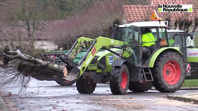 Vidéo. Poitiers. Abattage au petit matin de 62 arbres aux Trois-Cités