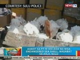 BP: Aabot sa P7-M halaga ng mga endangered sea shell, nasabat sa Jolo, Sulu