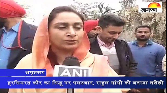 हरसिमरत कौर का सिद्धू पर पलटवार, राहुल गांधी को बताया नशेड़ी