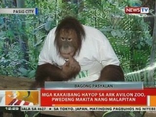 BT: Mga kakaibang hayop sa Ark Avilon Zoo, pwedeng makita nang malapitan