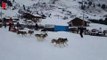 500 chiens de traîneaux participent à une course à travers les Alpes