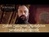 Sultan Süleyman Mustafa'nın Yaralandığını Öğrenir - Muhteşem Yüzyıl 47.Bölüm