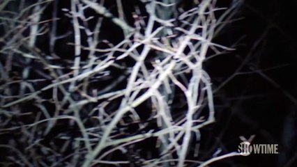 Twin Peaks : nouveau teaser pour la saison 3