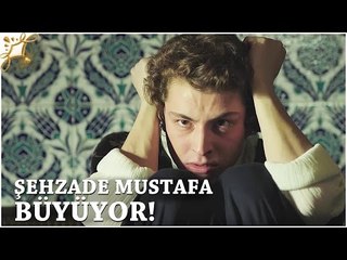 Muhteşem Yüzyıl: Kösem 20.Bölüm | Şehzade Mustafa büyüyor