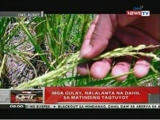 QRT: Mga gulay, nalanta na dahil sa matinding tagtuyot