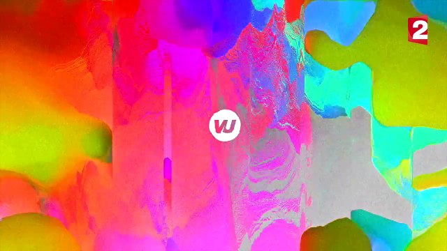 VU, le Zapping version France 2 (16 janvier 2017)