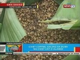 BP: Civet coffee na ginagawa sa Kapatagan, Davao del Sur, pang-export na rin
