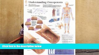 PDF  Understanding Osteoporosis chart: Wall Chart Scientific Publishing For Ipad