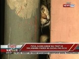 SONA: Pusang na-trap sa DLSU, nailigtas sa tulong ng Philippine animal rescue team