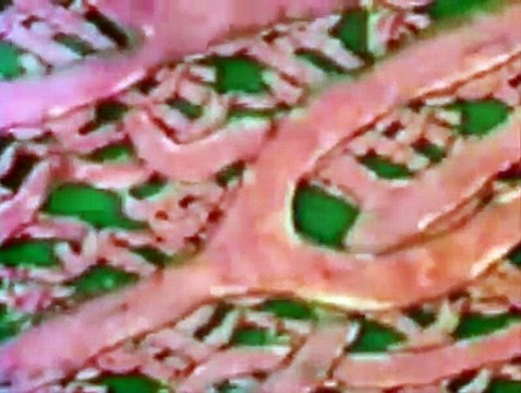 {وفي أنفسكم أفلا تبصرون} ~ الكلية تنظف وتصفي 1800لتر.