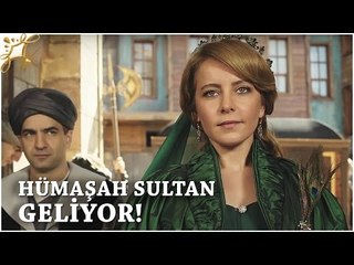 Download Video: Muhteşem Yüzyıl: Kösem 17.Bölüm | Hümaşah Sultan geliyor!