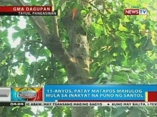 11-anyos, patay matapos mahulog mula sa inakyat na puno sa Pangasinan