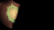 This projection mapping of tattoos is the most amazing thing I've seen today!