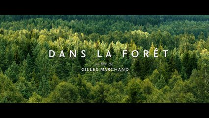 DANS LA FORET, bande annonce, sortie le 15-02-2017 [HD, 1280x720p]