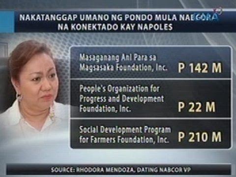Halos P1B PDAF na dumaan sa NABCOR at napunta sa mga pekeng NGO, nais imbestigahan ng Senado