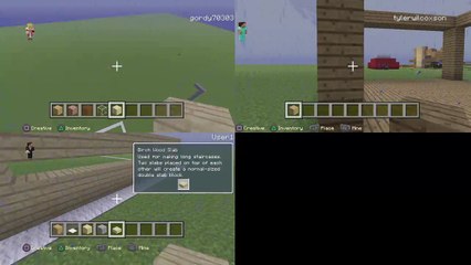 Minecraft Try finding ores (9)