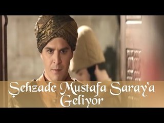 Şehzade Mustafa Saraya Geliyor - Muhteşem Yüzyıl 46.Bölüm