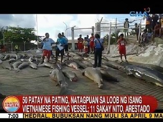 UB: 50 patay na pating, natagpuan sa loob ng isang Vietnamese fishing vessel sa Palawan