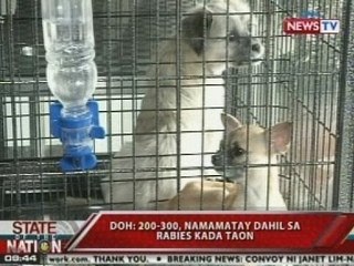 SONA: DOH: 200-300, namamatay dahil sa rabies kada taon