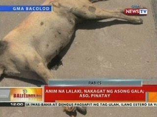 BT: Anim na lalaki, nakagat ng asong gala; aso, pinatay