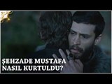 Muhteşem Yüzyıl: Kösem 16.Bölüm | Şehzade Mustafa nasıl kurtuldu?