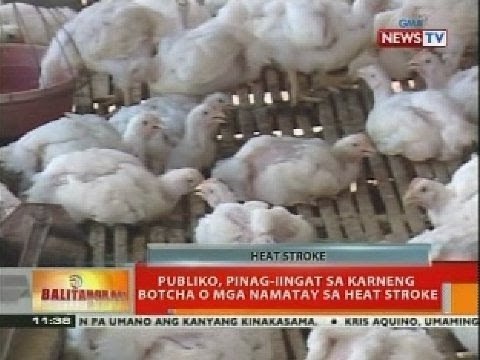 BT: Publiko, pinag-iingat sa karneng botcha o mga namatay sa heat stroke
