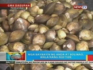 BP: Mga baybayin ng Anda at Bolinao, Pangasinan, wala nang red tide