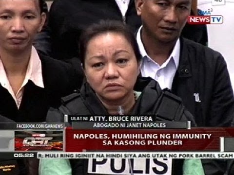QRT: Napoles, humihiling ng immunity sa kasong plunder