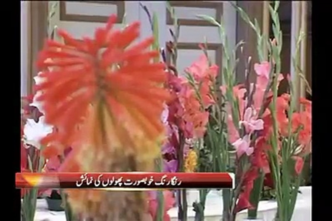 Flowers Elegant Manifedtation Of Allah'Gloryy