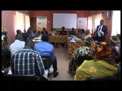 RTI1 / JT du Lundi 01 Juin 2015 - Edition de 20H