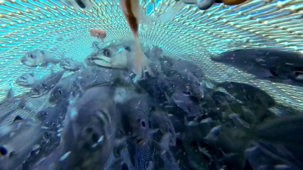 'Atlantic' - the race for the resources of the North Atlantic