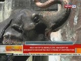 Mga hayop sa Manila Zoo, mahigpit na binabantayan kontra heat stroke at dehydration