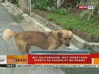 BT: Init ng panahon, may direktang epekto sa pagkalat ng rabies