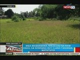 BP: PAGASA: El niño, posibleng maranasan ngayong taon