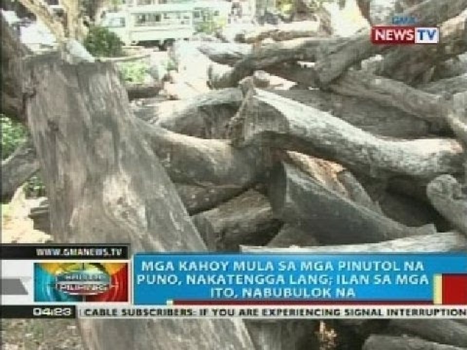 BP: Mga kahoy mula sa mga pinutol na puno sa Pangasinan, nakatengga lang