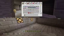 Minecraft Try finding ores (12)