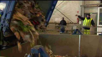 Tribunal europeo ve "ineficiente" la política de la CE contra el desperdicio alimentario