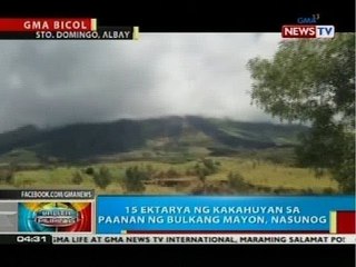 BP: 15 ektarya ng kakahuyan sa paanan ng Bulkang Mayon, nasunog