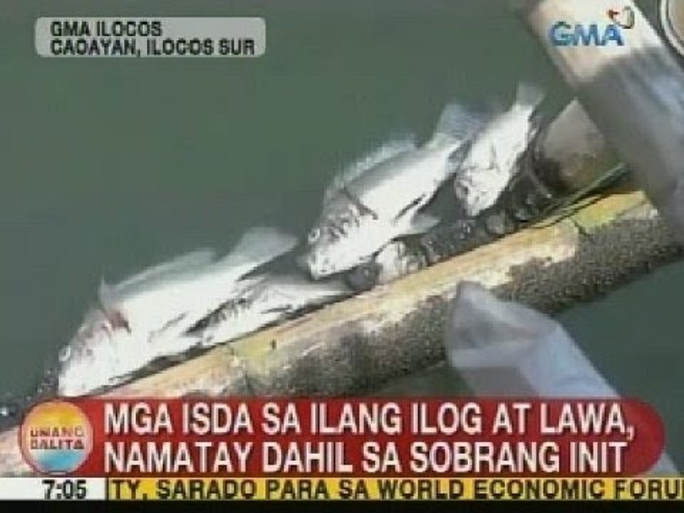 UB: Mga isda sa ilang ilog at lawa sa Ilocos Sur, namatay dahil sa sobrang init