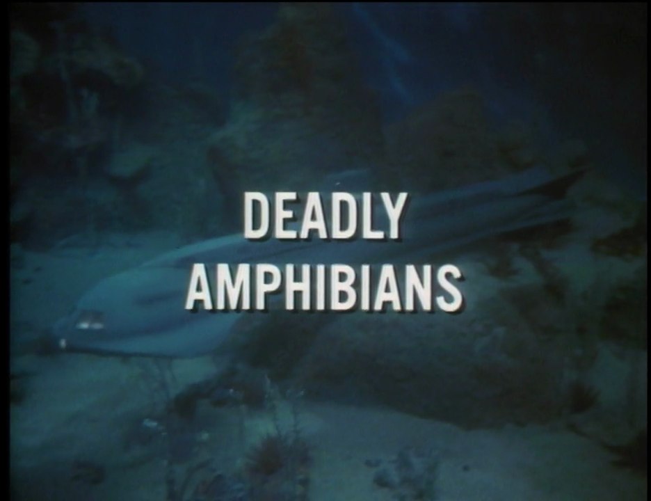 VTTBOTS: The Deadly Amphibians (LD capture)