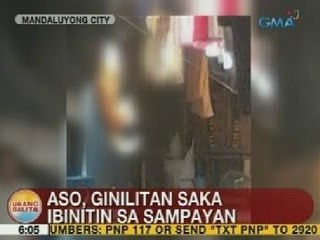UB: Aso sa Mandaluyong City, ginilitan saka ibinitin sa sampayan