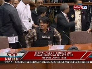 Digital files ni Luy, isinapubliko ng Senate Blue Ribbon Committee
